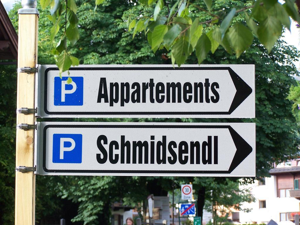 Appartements Schmidsendl Lofer Zewnętrze zdjęcie